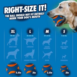Chuckit! Ultra Squeaker Ball for Dogs, Durable Dog Toy for Fetch Games, High-Bounce Ball with Squeaker, Ideal for Medium Breeds, Compatible Launchers, Medium ahemdabad