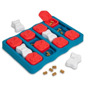 dog toys in ahmedabad gujarat
